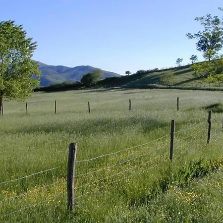 Vakantiehuis Charming House In Umbria With Pool And Garden Monte Castelli