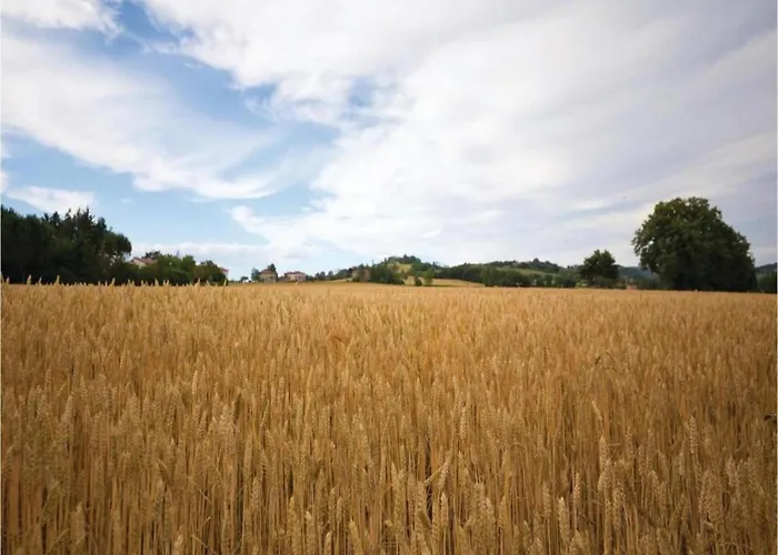 Casa de Férias Charming House In Umbria With Pool And Garden Monte Castelli